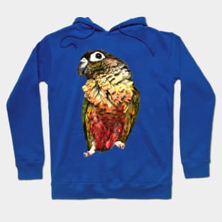 Green Cheek Conure Parrot Bird design, Love for birds Hoodie